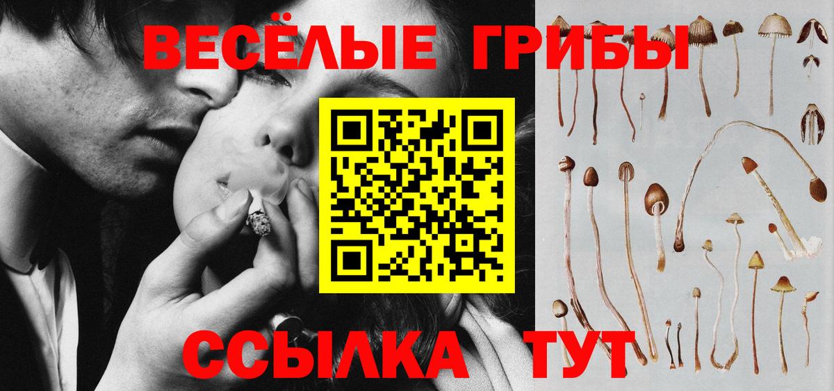 где купить наркотик  Вход с VPN  Галлюциногенные грибы Psilocybe  Тобольск  Галлюциногенные грибы мицелий 