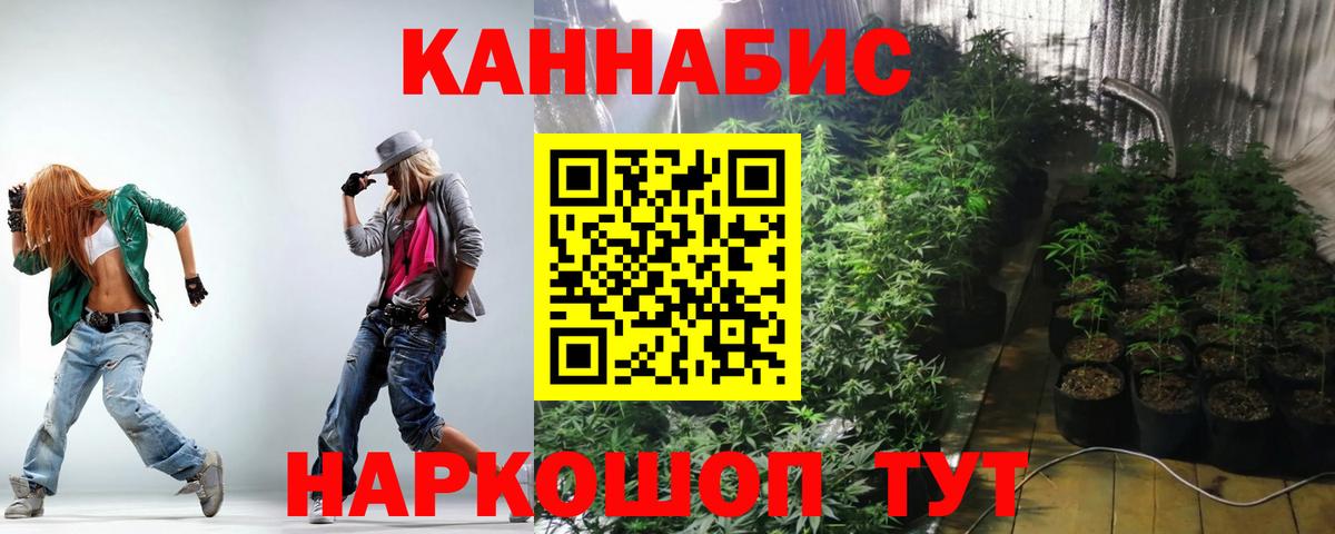 Бошки марихуана тримм  Вход с VPN  Бошки марихуана конопля  Тобольск  Марихуана марихуана 